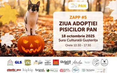 „O zi în care încercăm să transformăm poveștile pisicilor fără stăpân în povești cu final fericit”. Ziua Adopției Pisicilor PAN revine sâmbătă la Șura Culturală Gușterița