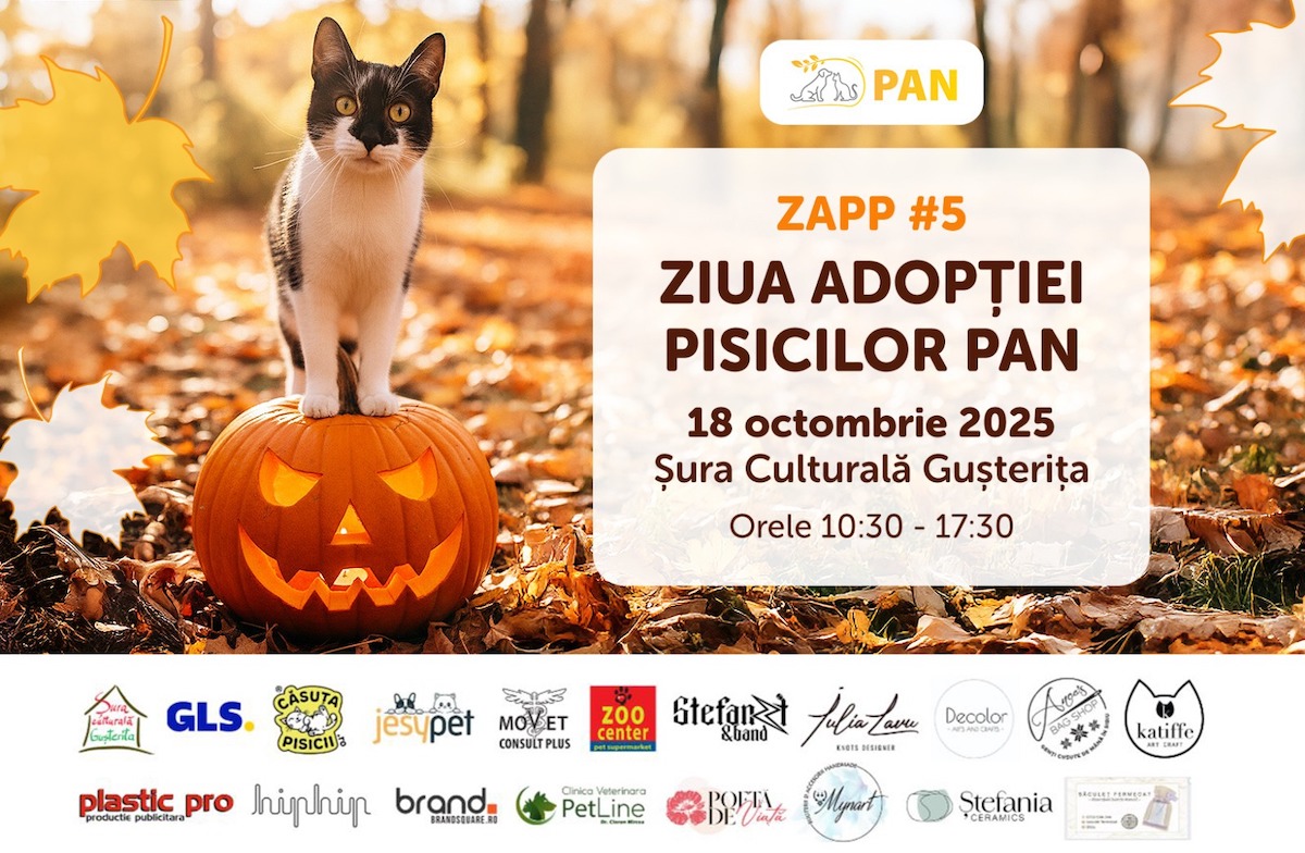 „O zi în care încercăm să transformăm poveștile pisicilor fără stăpân în povești cu final fericit”. Ziua Adopției Pisicilor PAN revine sâmbătă la Șura Culturală Gușterița