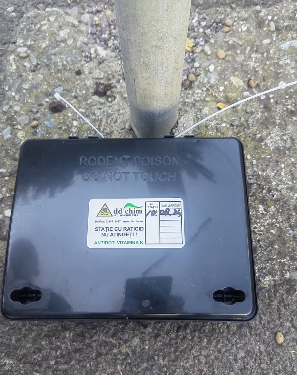 Primăria Sibiu anunță ultima deratizare din acest an