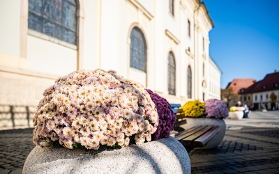 Se încălzește vremea. Temperaturi maxime între 16 și 18 grade Celsius în județ