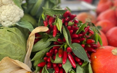 Piete Sibiu: De Ziua națională a produselor agroalimentare românești, vă invităm la piață