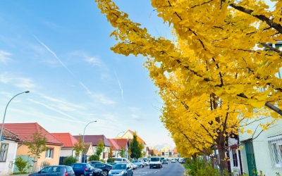 Ce facem în weekend? Transylvanian Grand Prix, ultima drumeție din acest sezon cu mocănița și multe evenimente cu tematică de Halloween