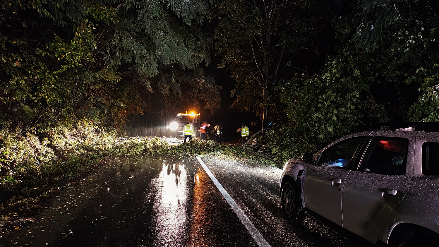 Bărbatul peste care s-a prăbușit un copac, aseară, în drum spre Păltiniș, are fracturi craniene. A fost operat și se află la ATI