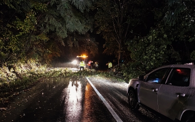Un șofer a fost rănit după ce un copac a căzut pe mașină, pe drumul spre Păltiniș. Șoseaua a fost închisă: „Ninsoare abundentă, carosabil acoperit cu zăpadă și polei, copaci căzuți pe carosabil”