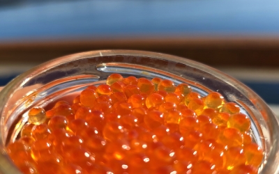 Cum se produce caviarul de Sadu
