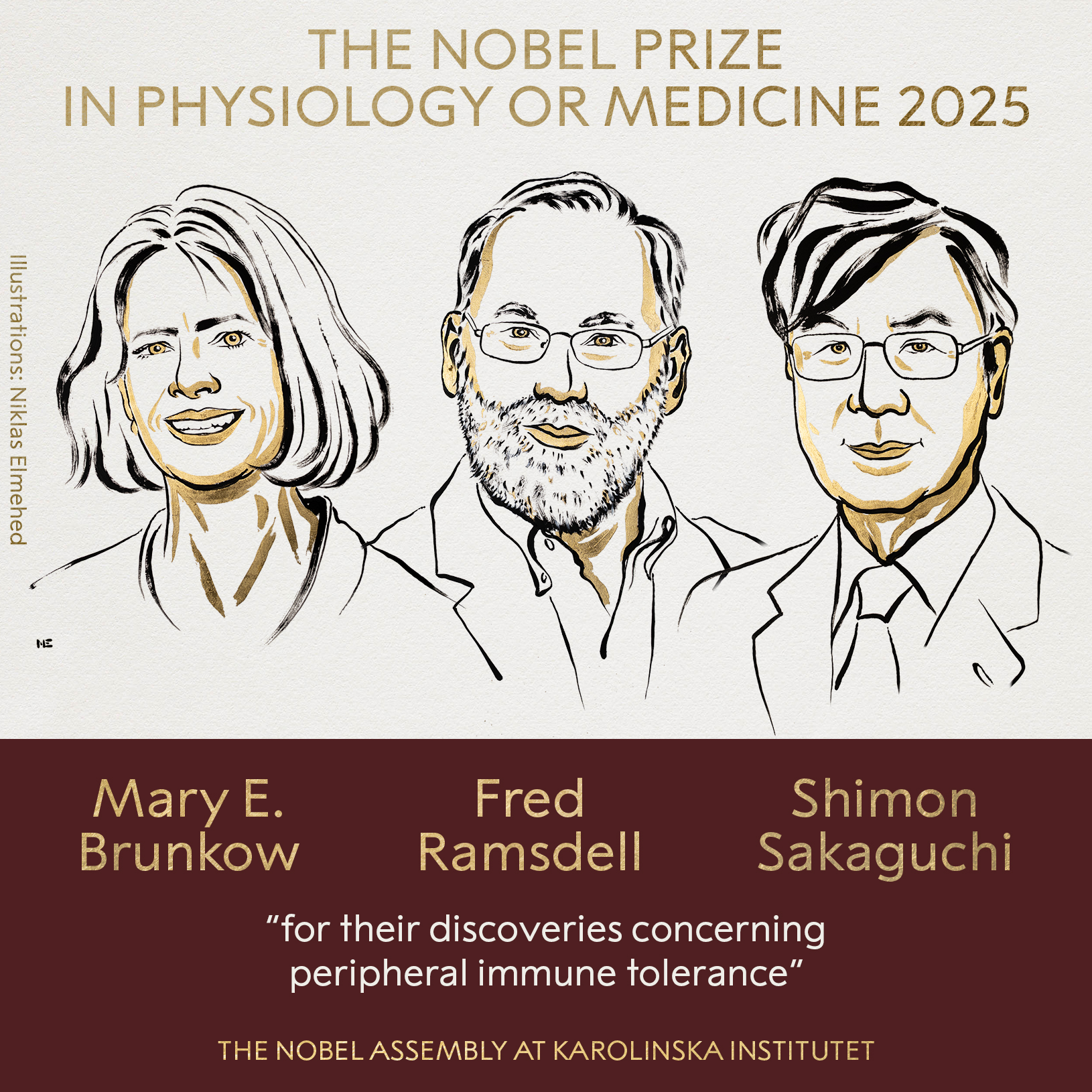 Premiile Nobel 2025. Mary E. Brunkow, Fred Ramsdell și Shimon Sakaguchi, laureații Premiului Nobel pentru Medicină, pentru „descoperirile lor privind toleranța imună periferică''