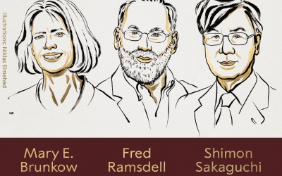Premiile Nobel 2025. Mary E. Brunkow, Fred Ramsdell și Shimon Sakaguchi, laureații Premiului Nobel pentru Medicină, pentru „descoperirile lor privind toleranța imună periferică''