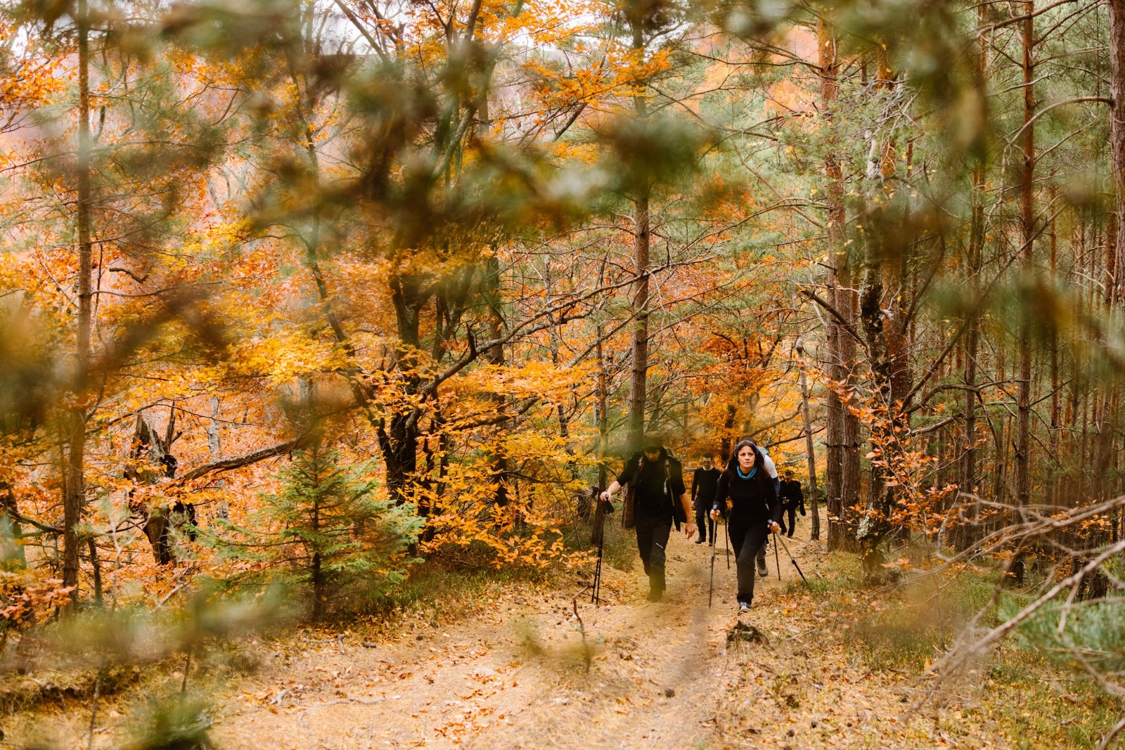 Anii Drumeției invită sibienii la o drumeție cu traseu secret. Punctul final al călătoriei este „labirintul sufletelor” din Ațel