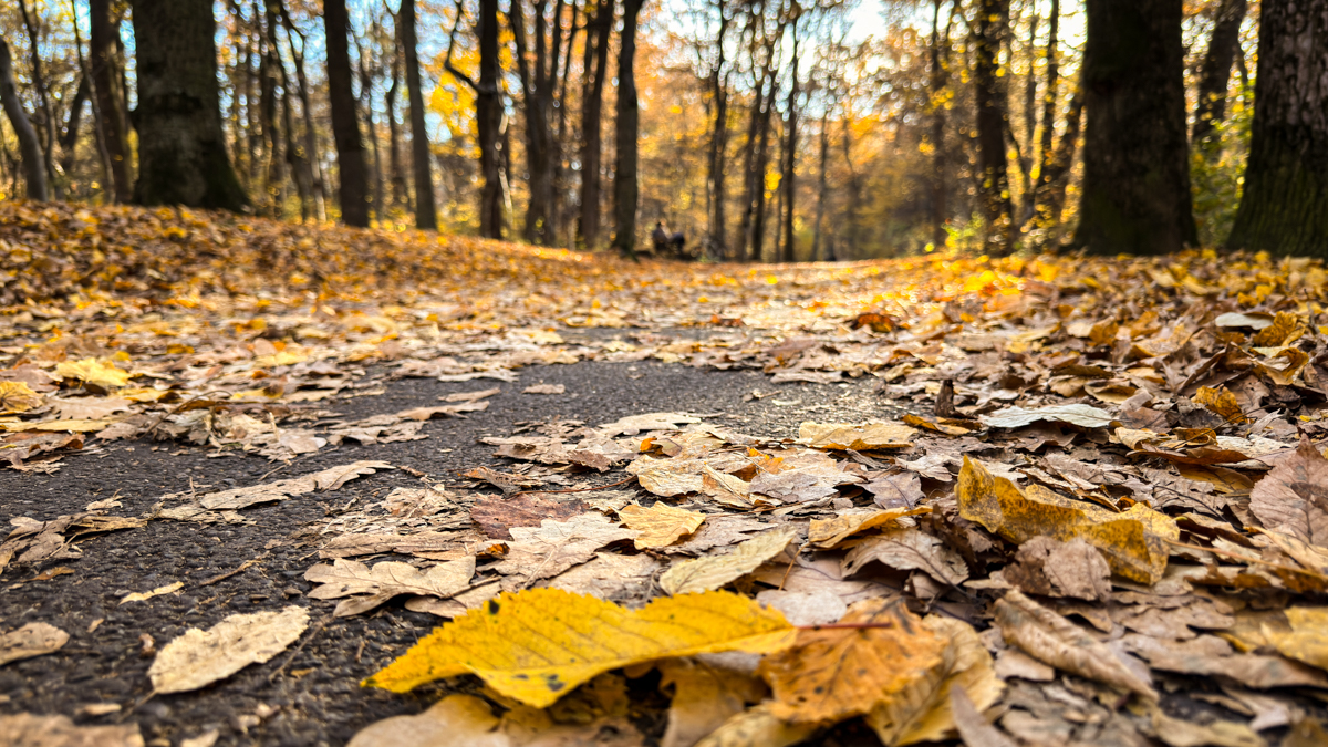 Între 11 și 0 grade Celsius, vineri, în municipiul Sibiu. Temperaturi pozitive și la Bâlea Lac
