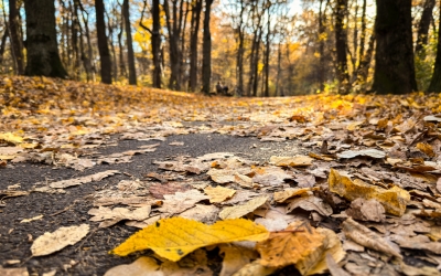 Între 11 și 0 grade Celsius, vineri, în municipiul Sibiu. Temperaturi pozitive și la Bâlea Lac