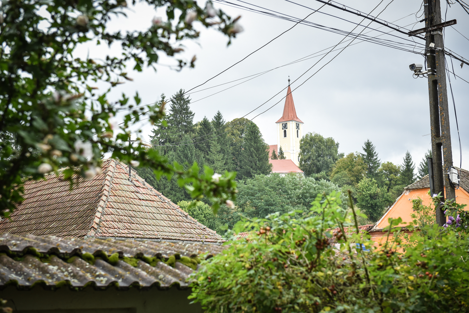 Dosarul penal al primarului și viceprimarului din Vurpăr, retrimis de judecători la procuror.  Erau acuzați de un prejudiciu de peste 350 de mii de lei: telefoane mobile și abonamente