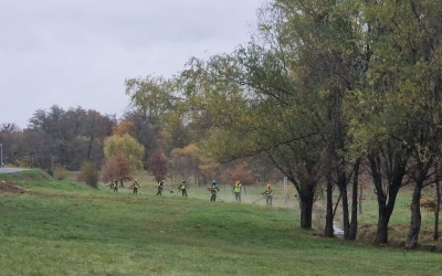 La mijlocul toamnei s-a finalizat și licitația pentru cosirea ierbii. Contractul, atribuit companiei care a contestat rezultatul inițial