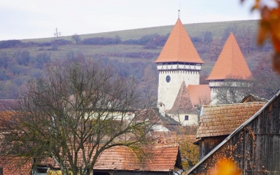 Dealu Frumos, satul din județul Sibiu cu slănină veche de 35 de ani. Martin Maurer, unul dintre cei zece sași din sat: „Cea mai veche este bucata mai mare. Multă vreme nu s-a știut cine îi era proprietarul”