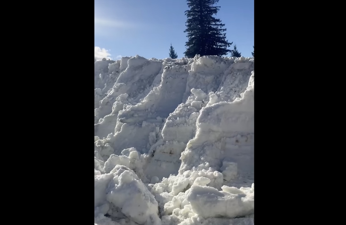 VIDEO ”Ninge” la Păltiniș, la 12 grade Celsius. Se împrăștie pe pârtie zăpada ținută peste vară