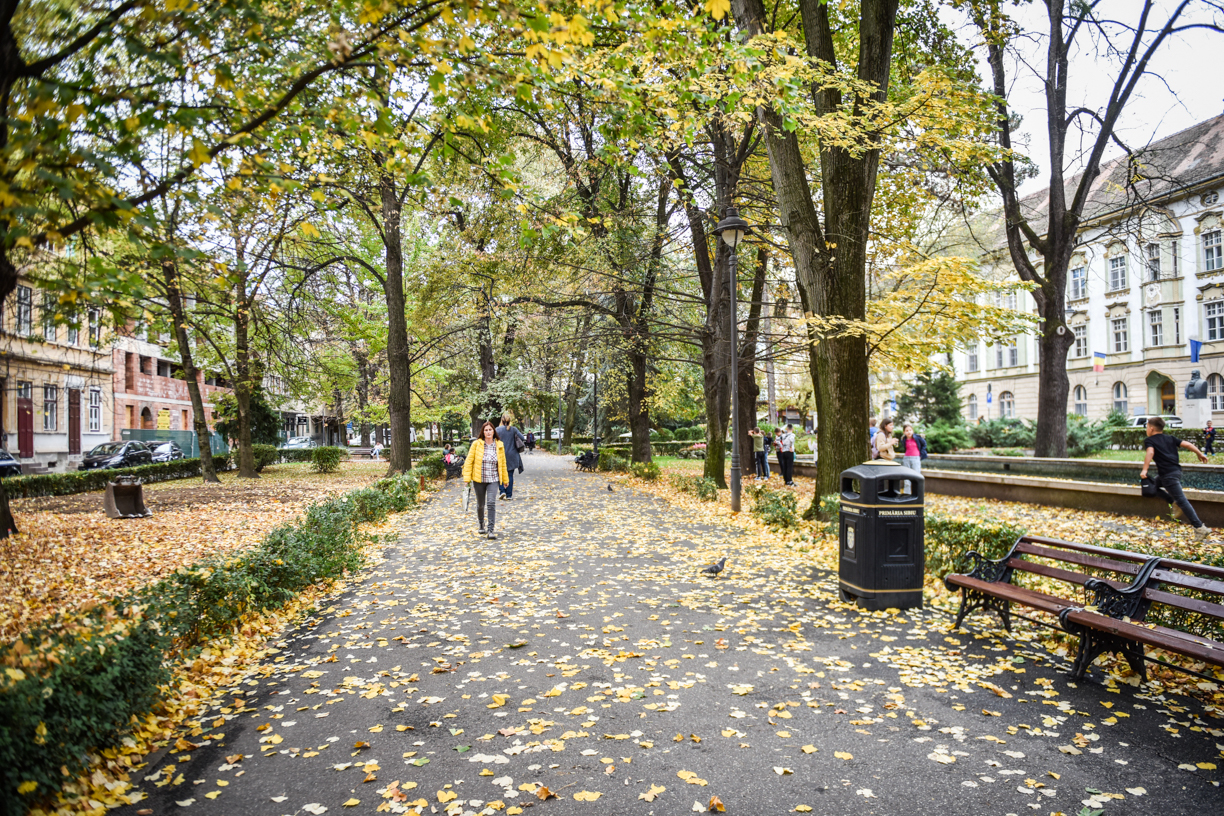 Știrile de marți: Stație de autobuz în intersecție, schimbarea la față a parcului Astra, preț dublu pentru încărcarea mașinilor electrice