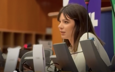 Povestea cutremurătoare a unei mame a ajuns în Parlamentul European: „Mi-ați adus un copil mort. La ce vă așteptați? Mai bine l-ați lăsa aici”