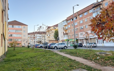 Studiu în Sibiu și alte orașe mari din țară: 32% dintre români evită să lucreze cu un agent imobiliar sau o agenție