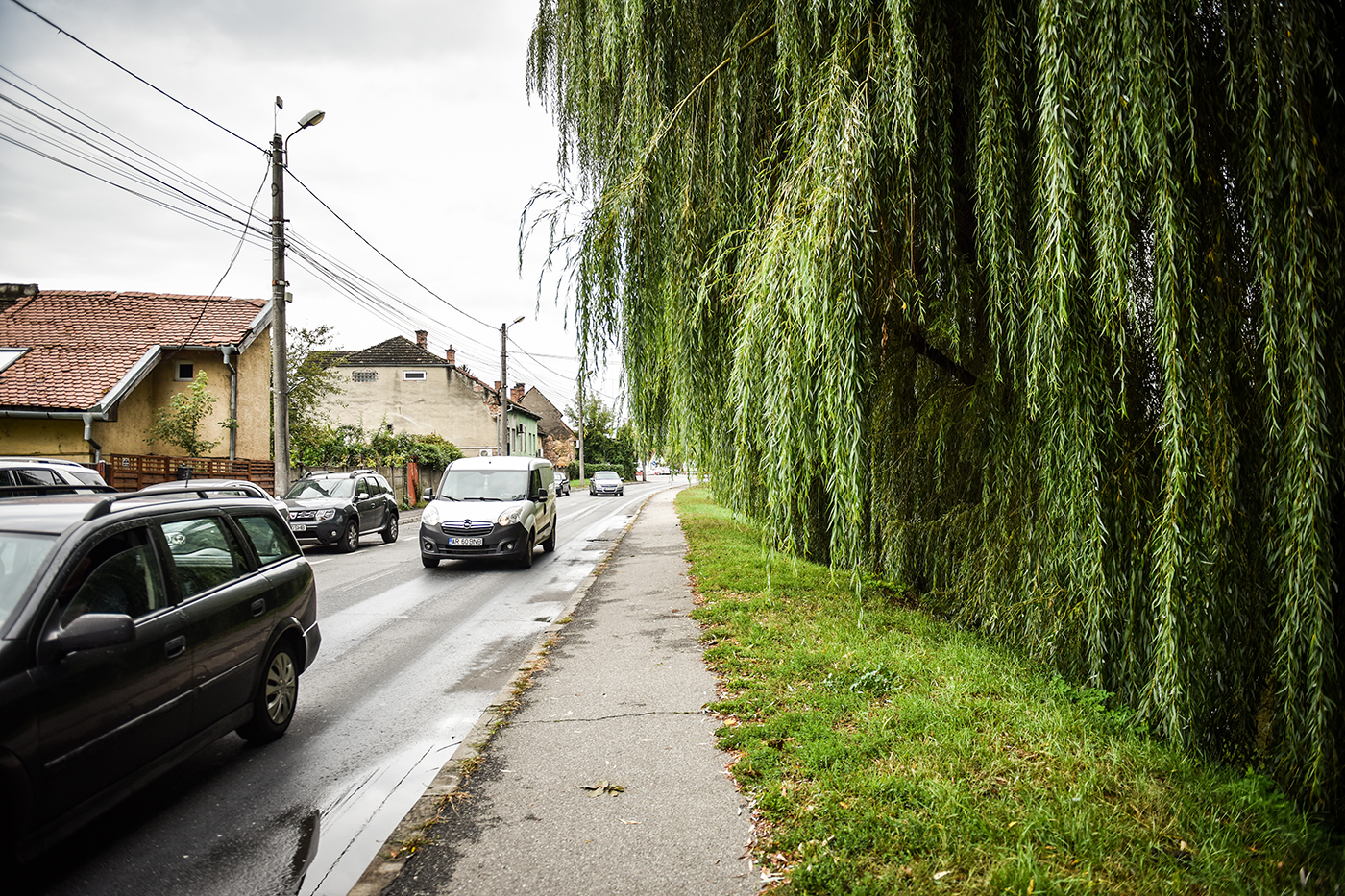 Primăria Sibiu anunță modificări importante în trafic: de la oprirea interzisă pe străzile de pe malurile Cibinului, la sens unic sezonier în Păltiniș