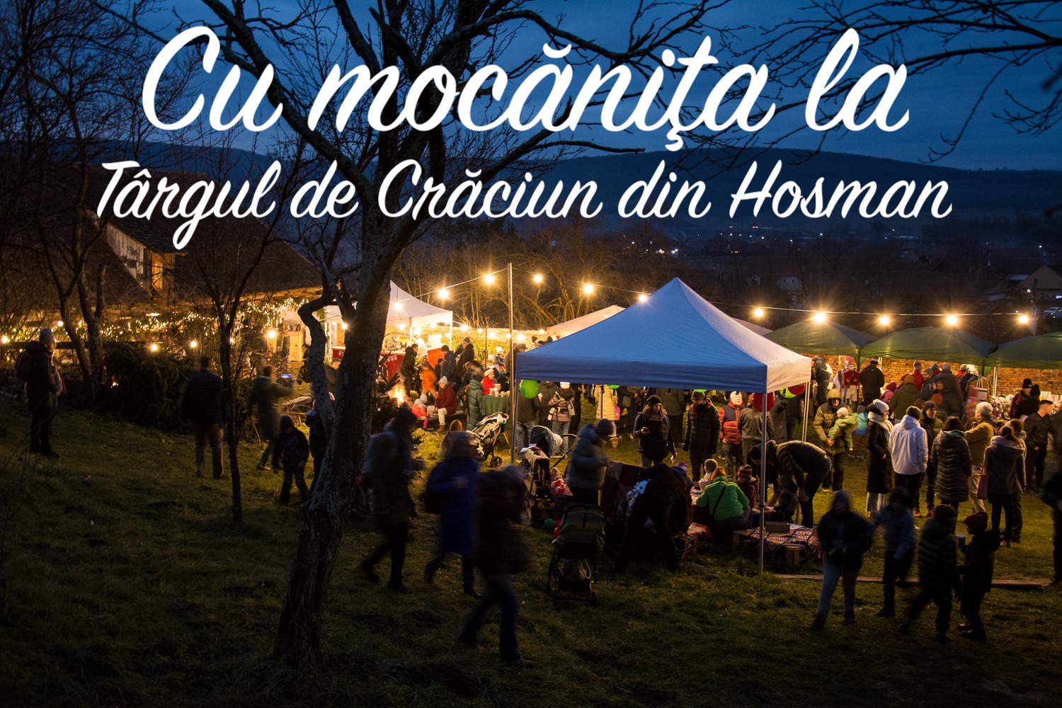 Cursă specială cu mocănița, la Târgul de Crăciun de la Hosman. Trenul va staționa 4 ore și jumătate astfel încât oamenii să aibă timp să viziteze târgul