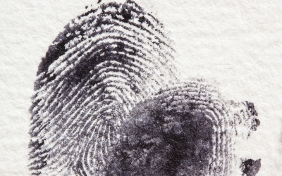 Celălalt Sibiu: Un copil omoară un bărbat. I-a zdrobit capul. Trăia în 12 mp alături de doi părinți analfabeți și 4 frați. ”Am eșuat ca societate în fața lui, înainte ca el să greșească fatal față de noi”