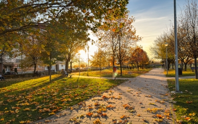 Știrile zilei de luni, 3 noiembrie: Horeca, imobiliare și miros de scorțișoară