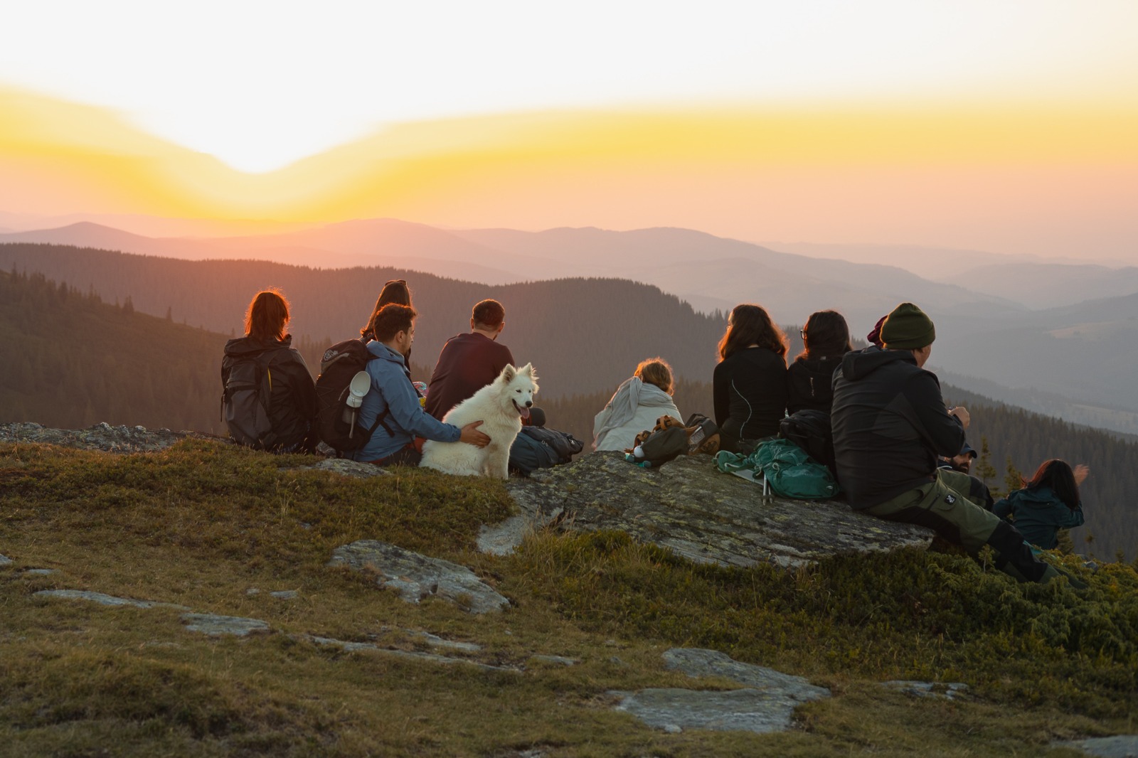 Hopihe, un câine siberian cu nume unguresc, conduce turiștii pe potecile din ”Anii Drumeției”. ”A urmat multe ture organizate în Munții Făgăraș și pe Via Transilvanica”
