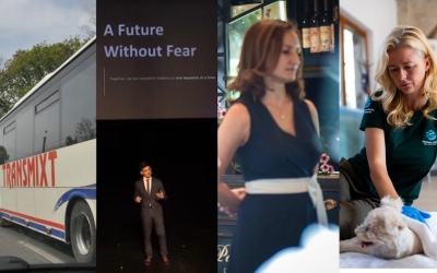 Știrile zilei: Trasee neacoperite după transportul metropolitan, avem un câștigător, ședință nepublică, cu Daniela Cîmpean martor și petiție pentru animale