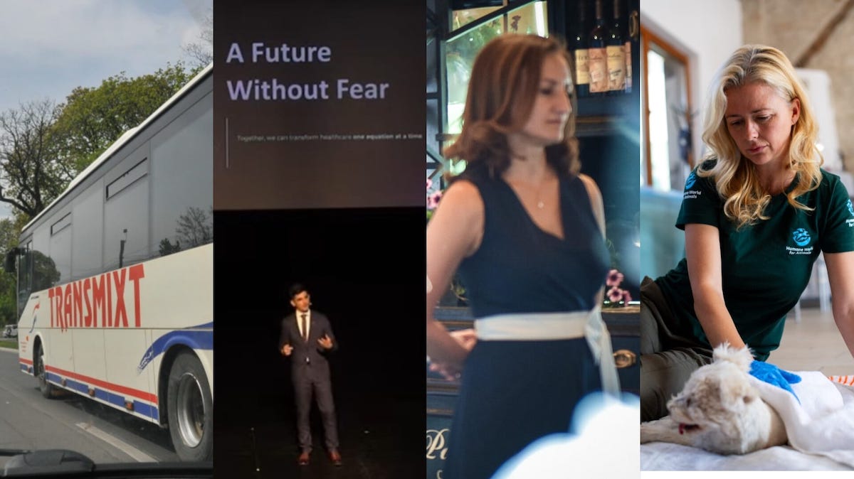 Știrile zilei: Trasee neacoperite după transportul metropolitan, avem un câștigător, ședință nepublică, cu Daniela Cîmpean martor și petiție pentru animale