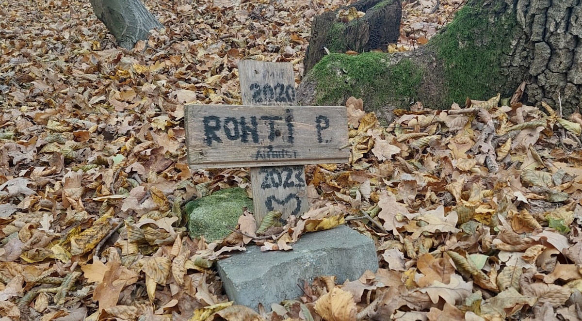 VIDEO Cimitirele de câini și pisici din Pădurea Dumbrava. Veterinarii și Biserica: sunt ilegale. Ce poți face în Sibiu după ce ți-a murit animalul de companie