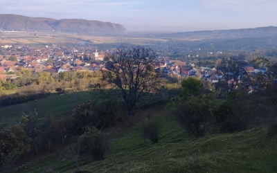 Turnu Roșu, la propriu poarta de sud a Transilvaniei: arhipelag, vamă imperială, sat românesc