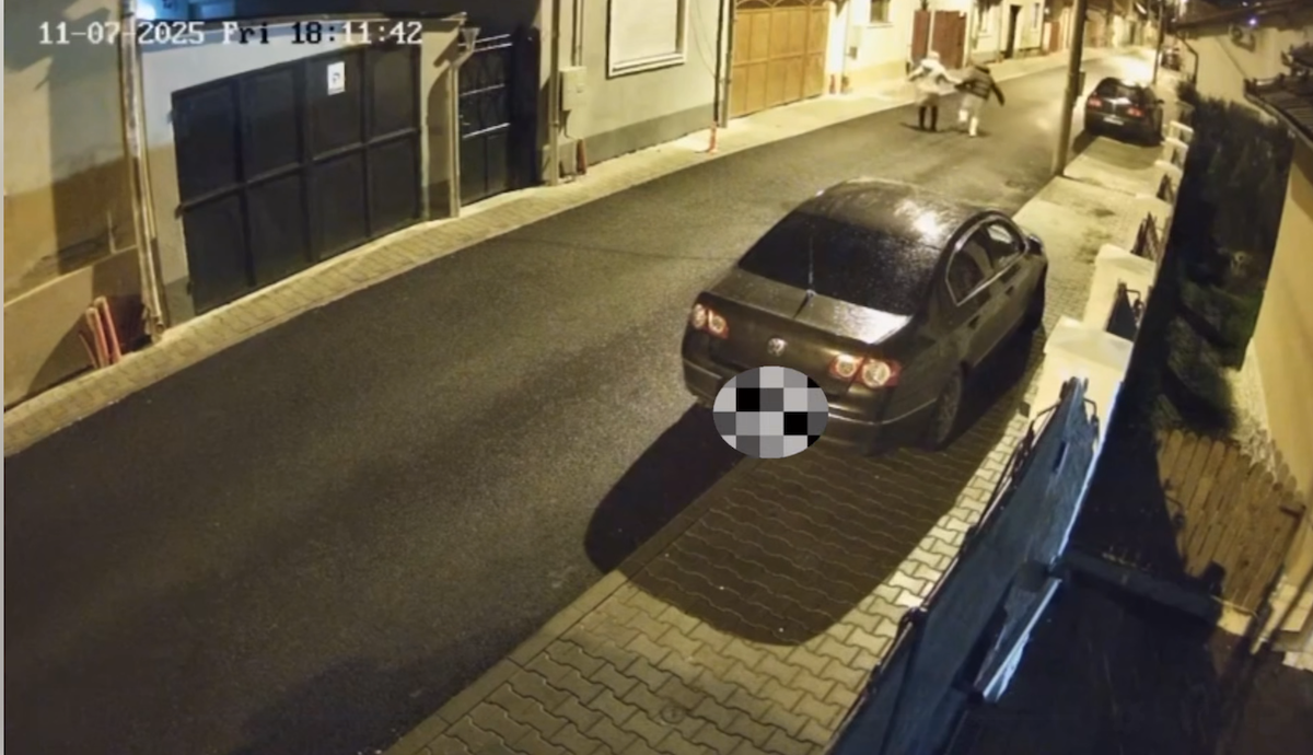 Tânăr de 21 de ani din Dumbrăveni, reținut pentru tâlhărie calificată la Mediaș