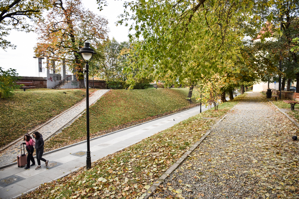 A fost lansată a cincea licitație pentru modernizarea Parcului Cetății. Primăria majorează suma la 3,2 milioane de lei de la 2,3 milioane