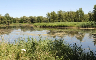 Lac privat în Colun, scos la vânzare de ANAF. Prețul pornește de la 137.000 de lei