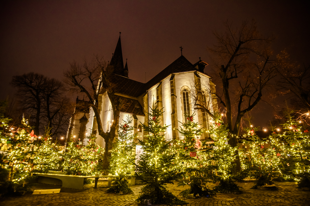Știrile de marți: Scandal generat de AUR împotriva unei profesoare, controale pentru deșeuri ilegale, cele mai votate clădiri  decorate de sărbători