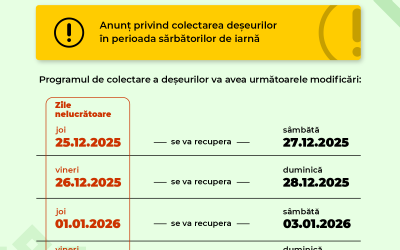 Soma anunță graficul de colectare a deșeurilor de Crăciun și Anul Nou