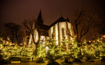 Știrile de marți: Scandal generat de AUR împotriva unei profesoare, controale pentru deșeuri ilegale, cele mai votate clădiri  decorate de sărbători