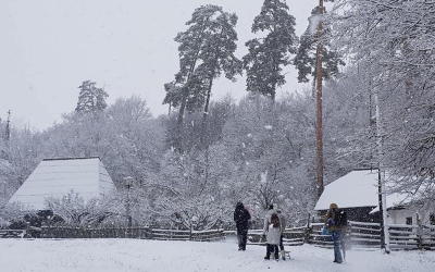 Programul Muzeului Astra în perioada sărbătorilor de iarnă
