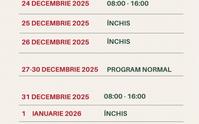 Programul piețelor din Sibiu de sărbători