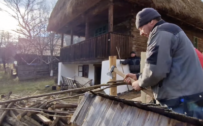 Muzeul Astra: Cum se restaurează gardul tradițional la Gospodăria din Cupșeni, monument expus în Muzeul ASTRA