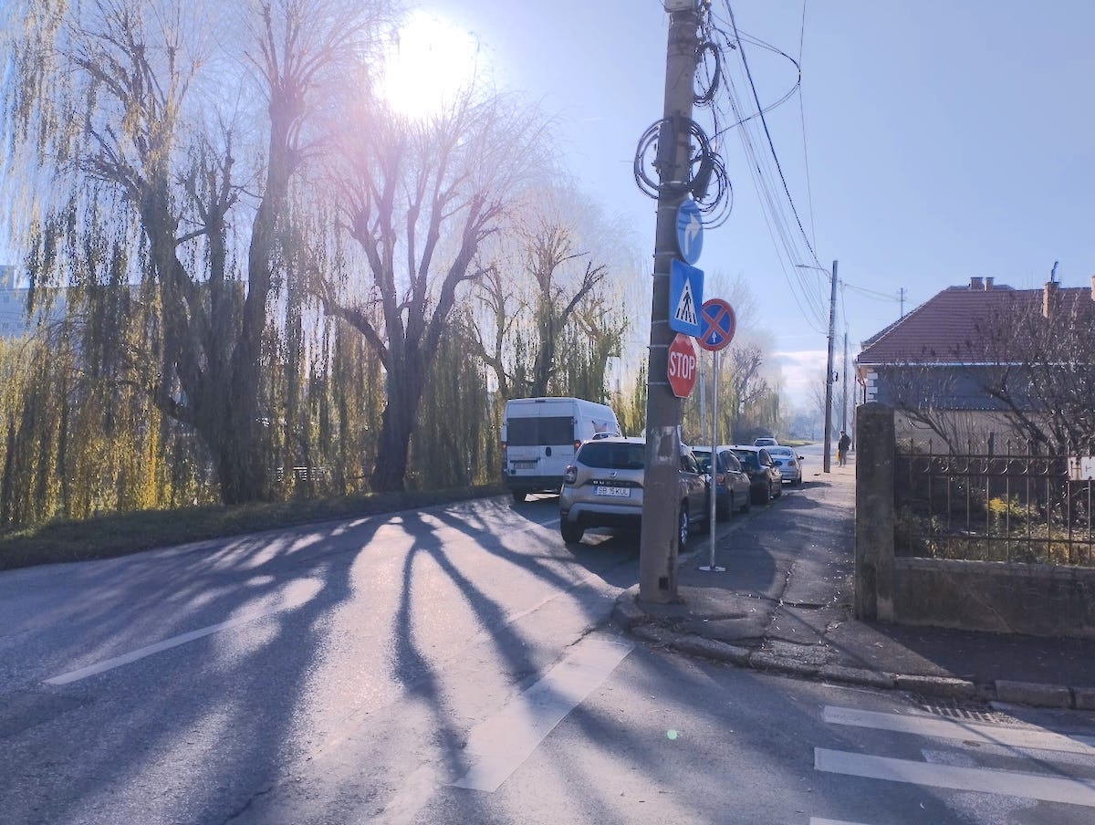 Au fost montate indicatoare de „Oprire interzisă” pe strada Râului. Locuitor nemulțumit: „Cum oprim să deschidem porțile pentru a intra cu mașina în curte?”