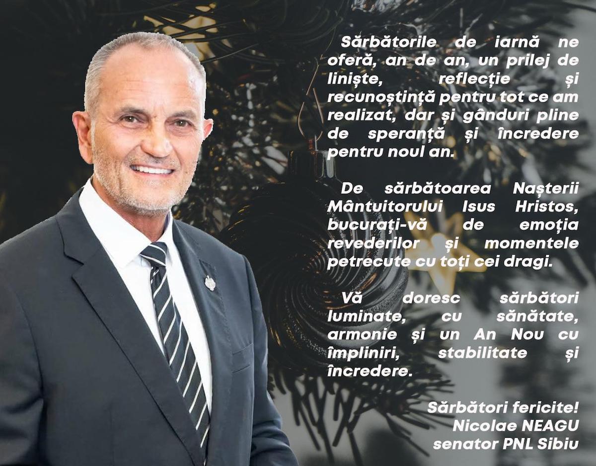 Mesajul de Crăciun din partea senatorului Nicolae Neagu