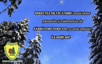 Mesajul de Crăciun din partea Direcției Silvice Sibiu