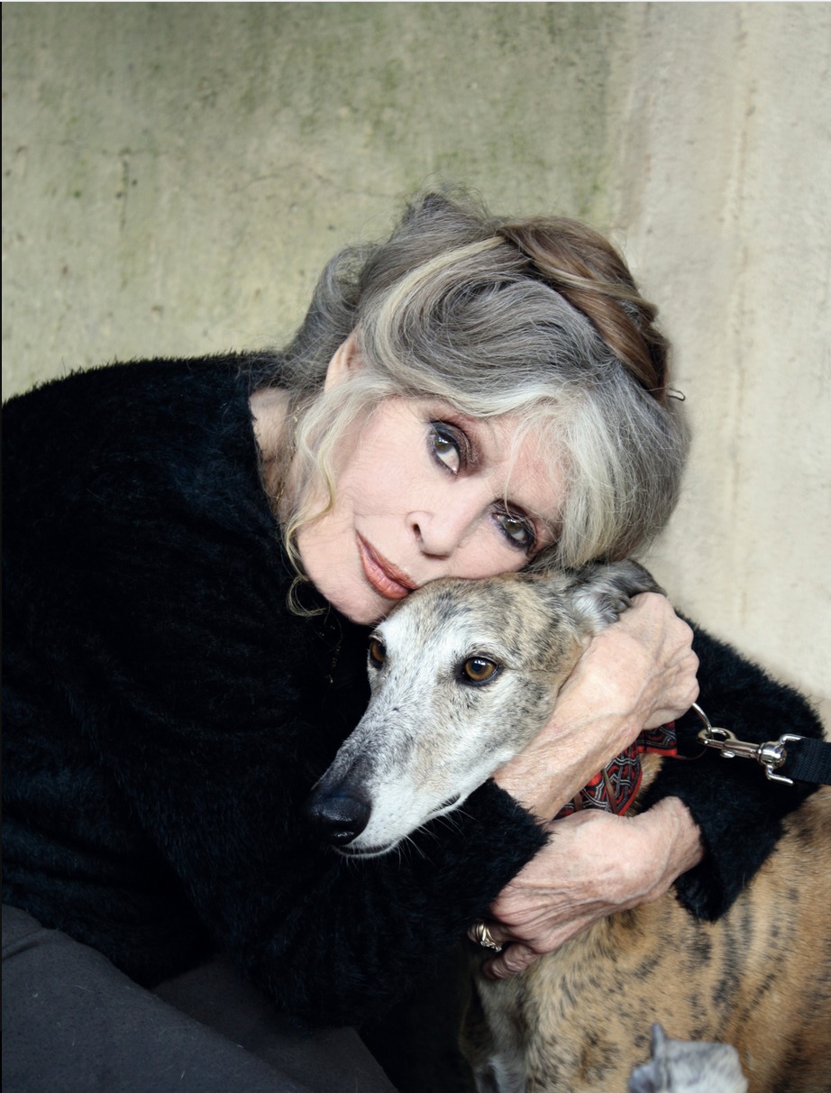 Actrița franceză Brigitte Bardot a murit la vârsta de 91 de ani