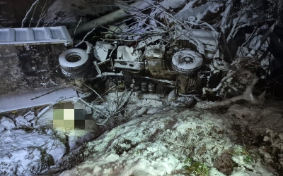 Accident cu două persoane decedate pe Valea Arpașu Mare. S-au răsturnat cu camionul plin cu lemne într-o râpă