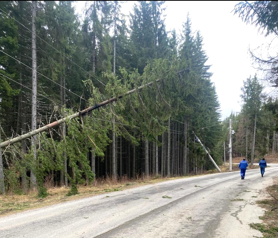 Păltiniș: după o vreme în care vântul a bătut cu până la 110 km/h, mai mulți brazi au căzut peste liniile de energie, comunicații și carosabil
