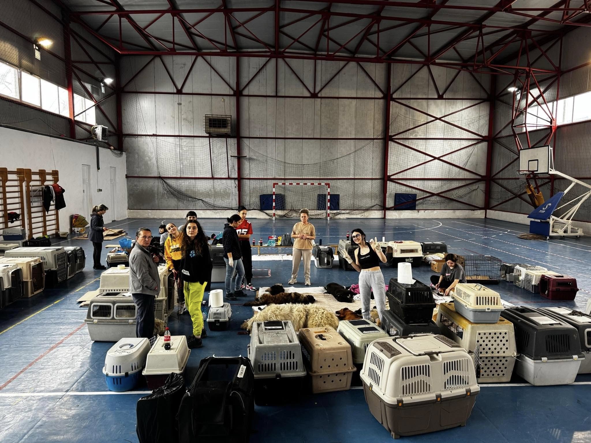 425 de animale sterilizate gratuit de Animal Life Sibiu, cu fondurile strânse la Maratonul Internațional Sibiu