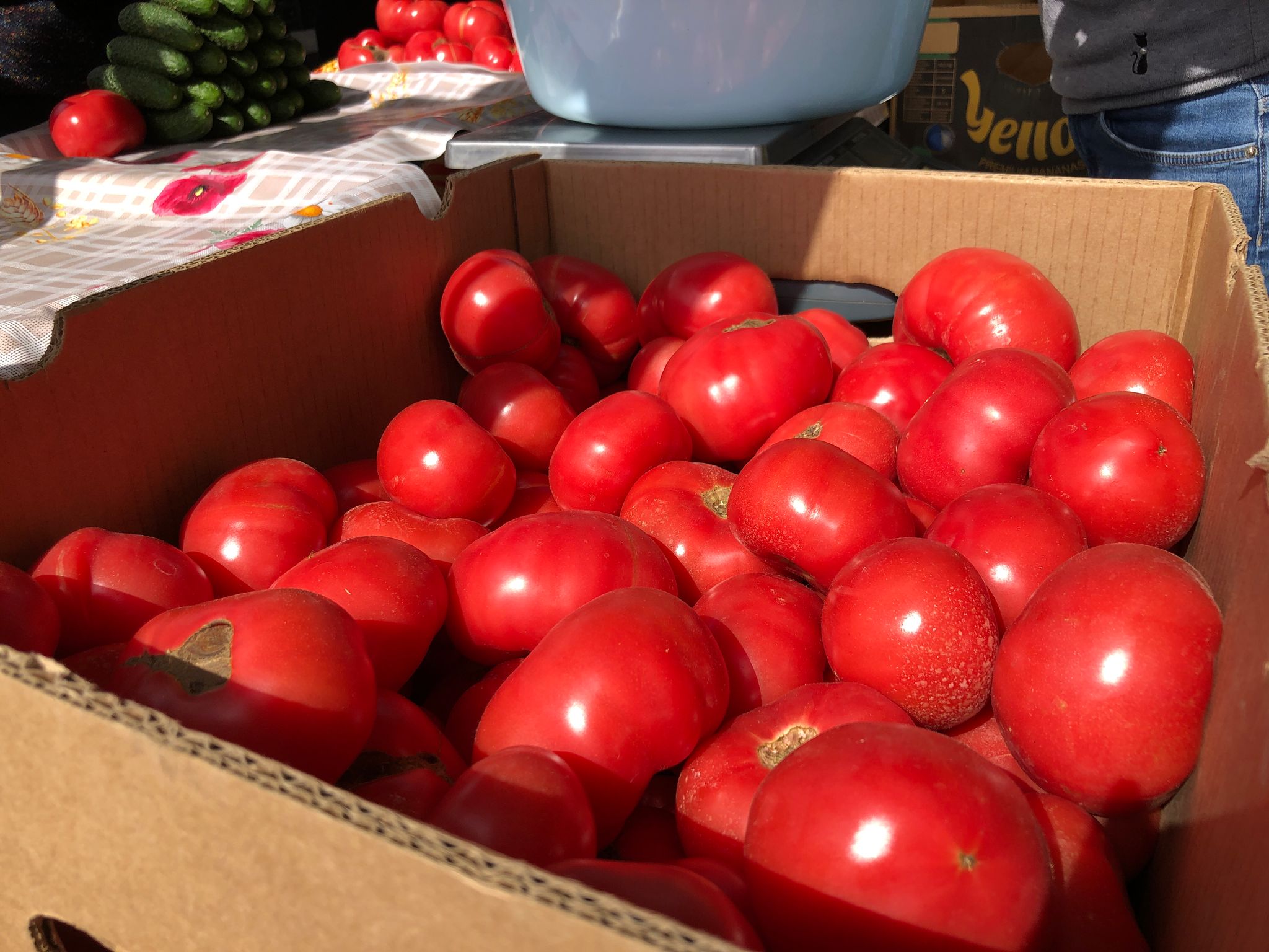 Știrile zilei: Investiție privată pe malul Cibinului, polonezii vor să facă la Dumbrăveni roșii de seră ”hi-tech”, povestea „Pe deal, pe văi”