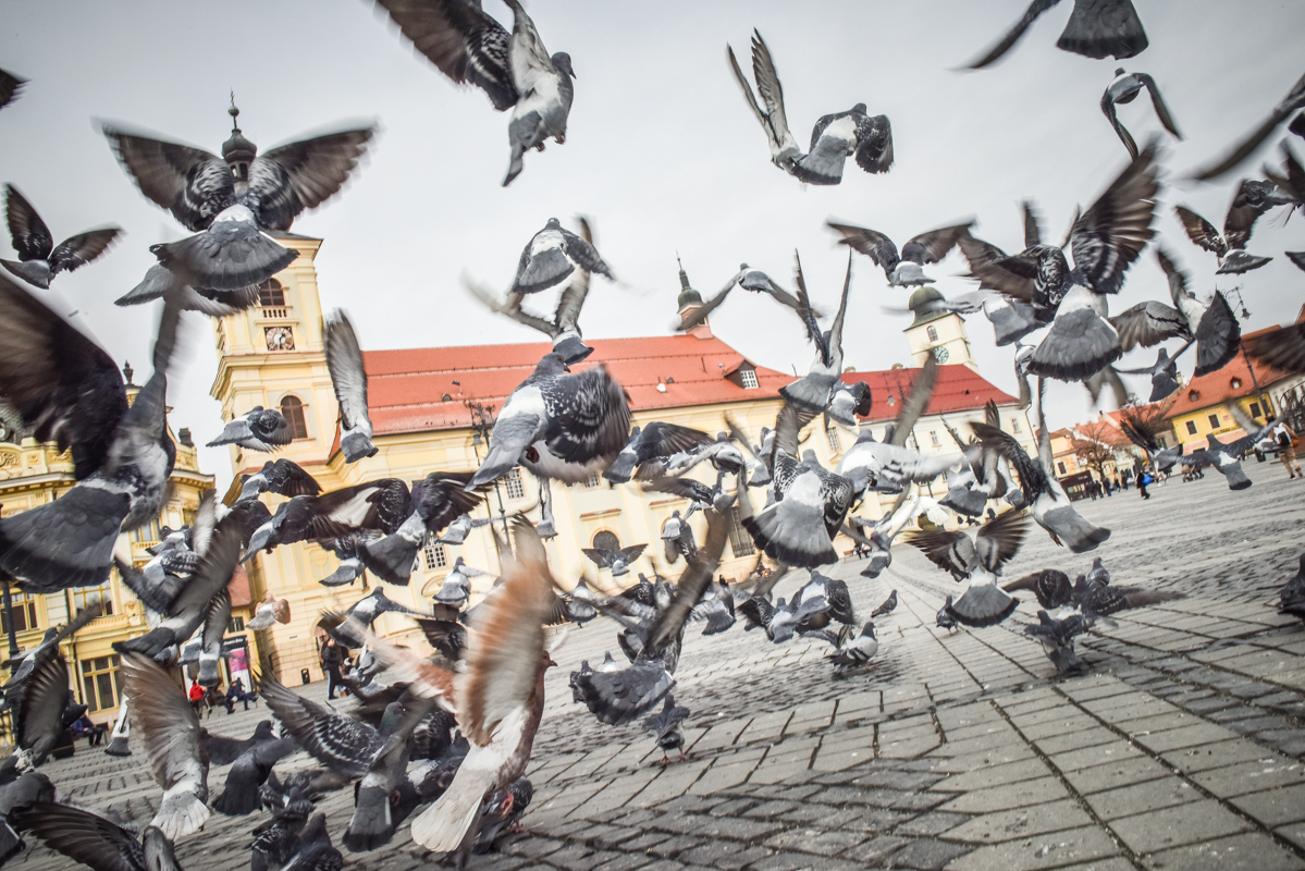 Vremea redevine mai caldă decât normalul perioadei. 11 grade Celsius în municipiul Sibiu