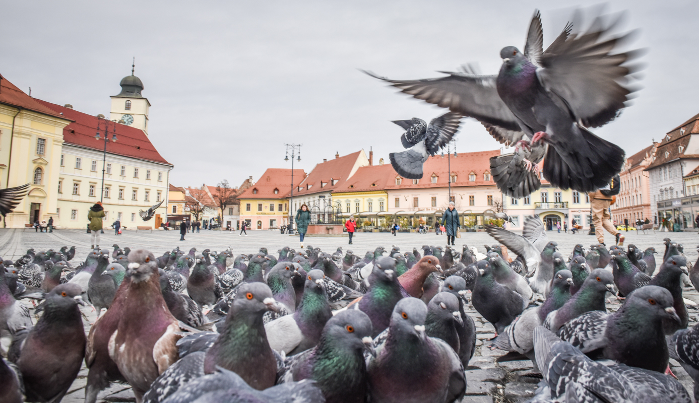 Vreme călduroasă în Sibiu, joi. Maximă de 14 grade Celsius în județ