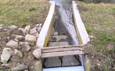 Poluare pe Cibin, în apropiere de piață. Muncitorii care au spălat uneltele și au aruncat apa murdară în râu riscă zeci de mii de lei amendă